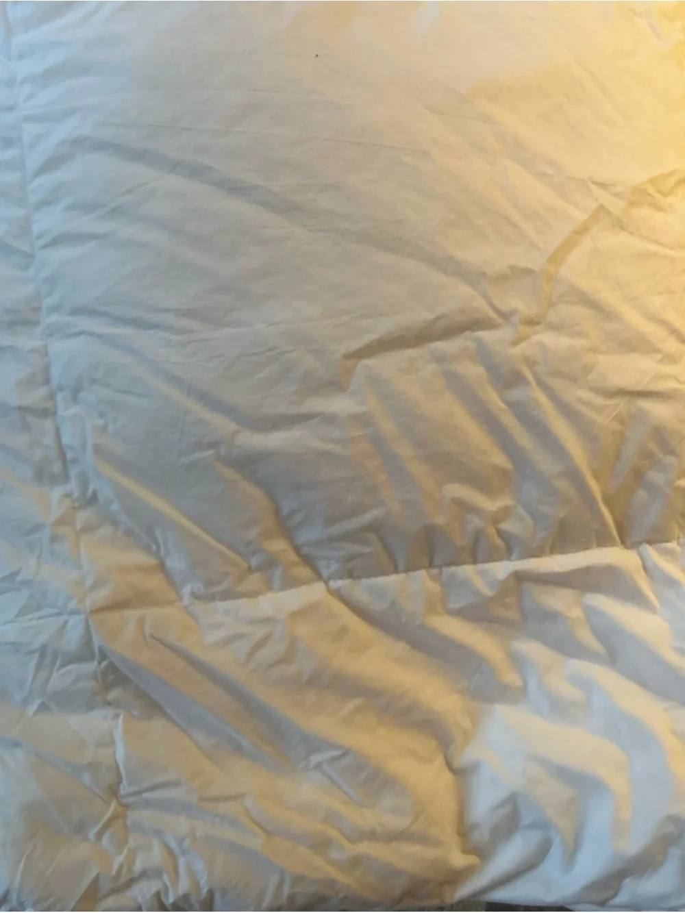 Queen/ Full Size 90 x 68  Cotton Goose Down Comforter Box Stitch white organic